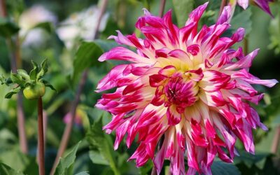 Niedziela, 9 listopada