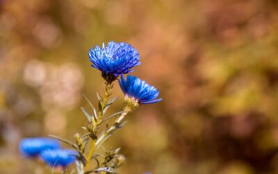 Poniedziałek, 10 listopada