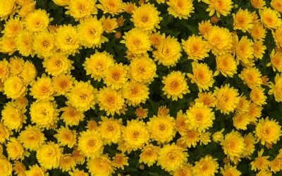 Czwartek, 13 listopada