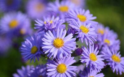 Piątek, 14 listopada