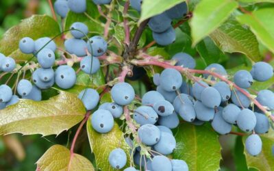 Poniedziałek, 24 listopada