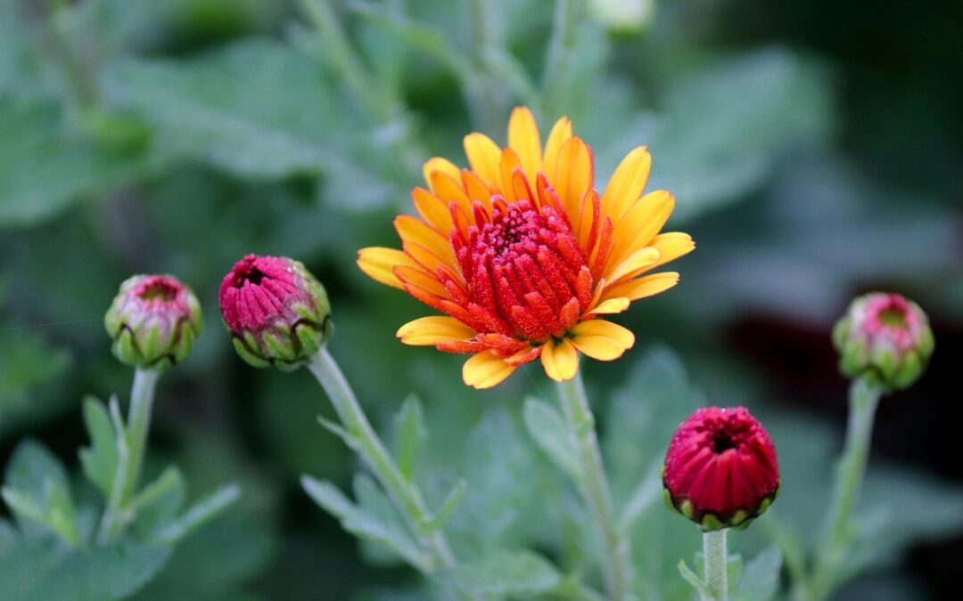 Niedziela, 2 listopada