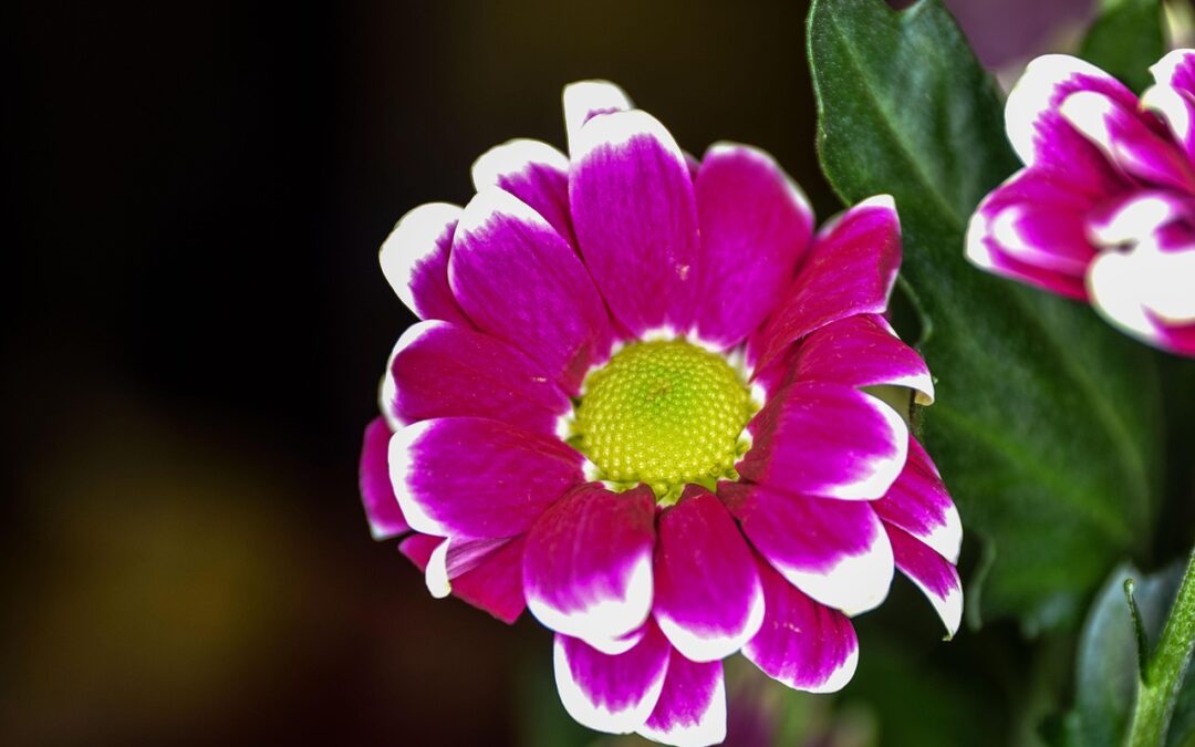 Poniedziałek, 3 listopada