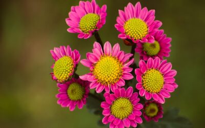 Piątek, 7 listopada