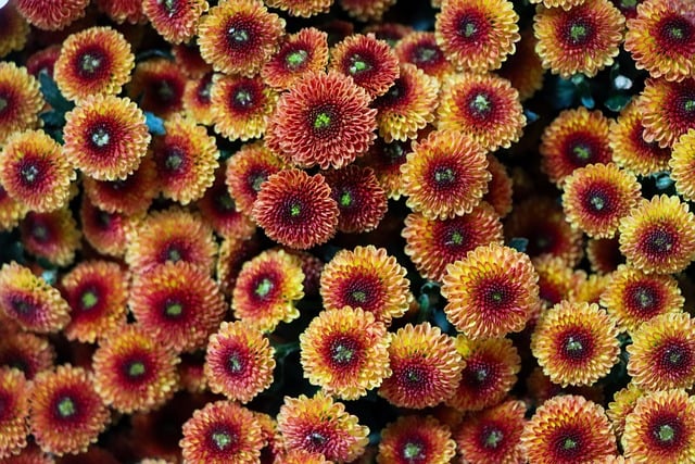 Sobota, 15 listopada