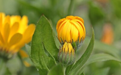 Czwartek, 20 listopada