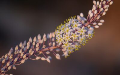 Niedziela, 23 listopada