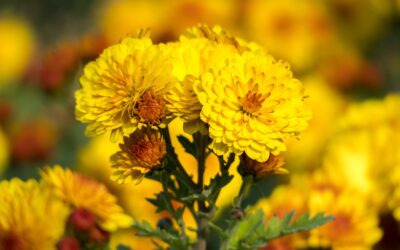 Piątek, 28 listopada