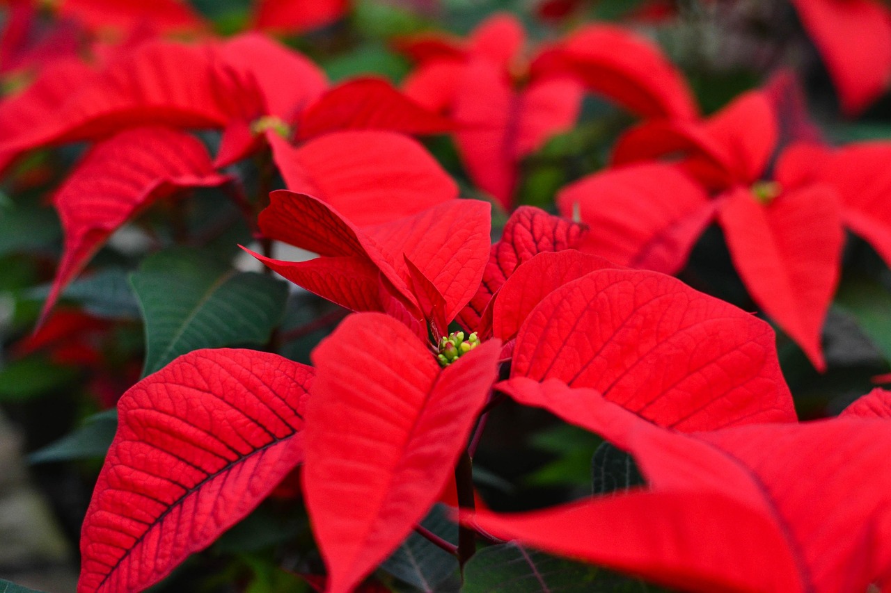 Dienstag, 30. Dezember