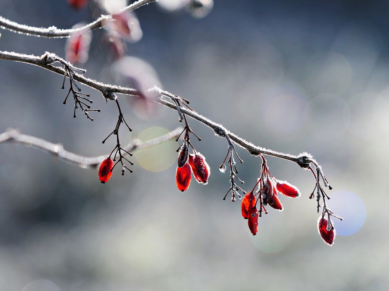 Mittwoch, 10. Dezember