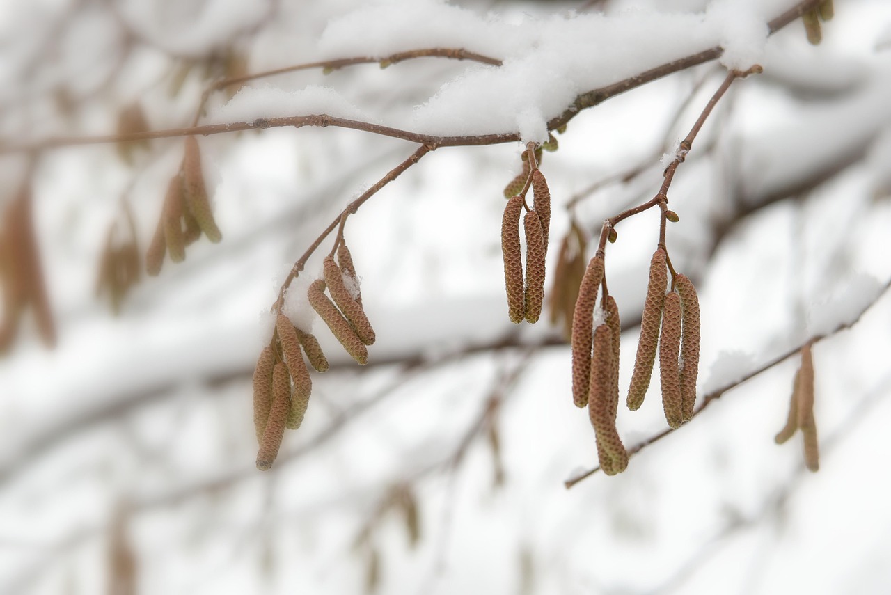 Donnerstag, 11. Dezember
