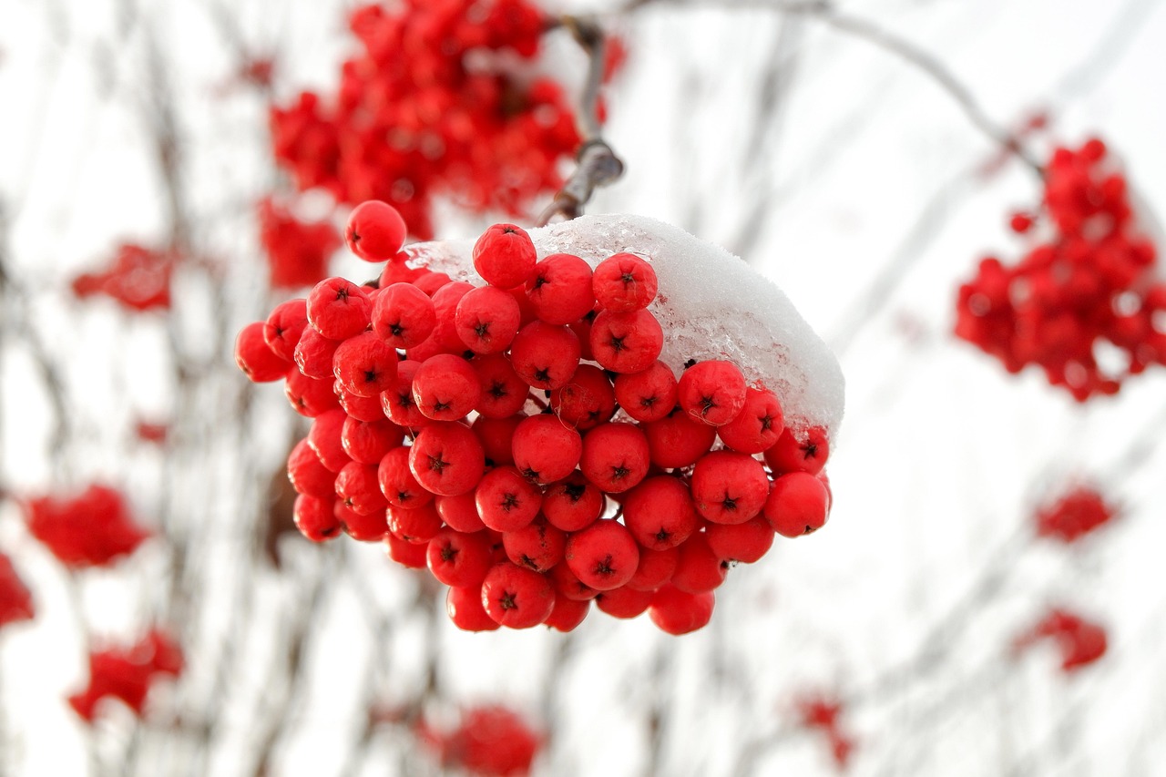 Montag, 29. Dezember