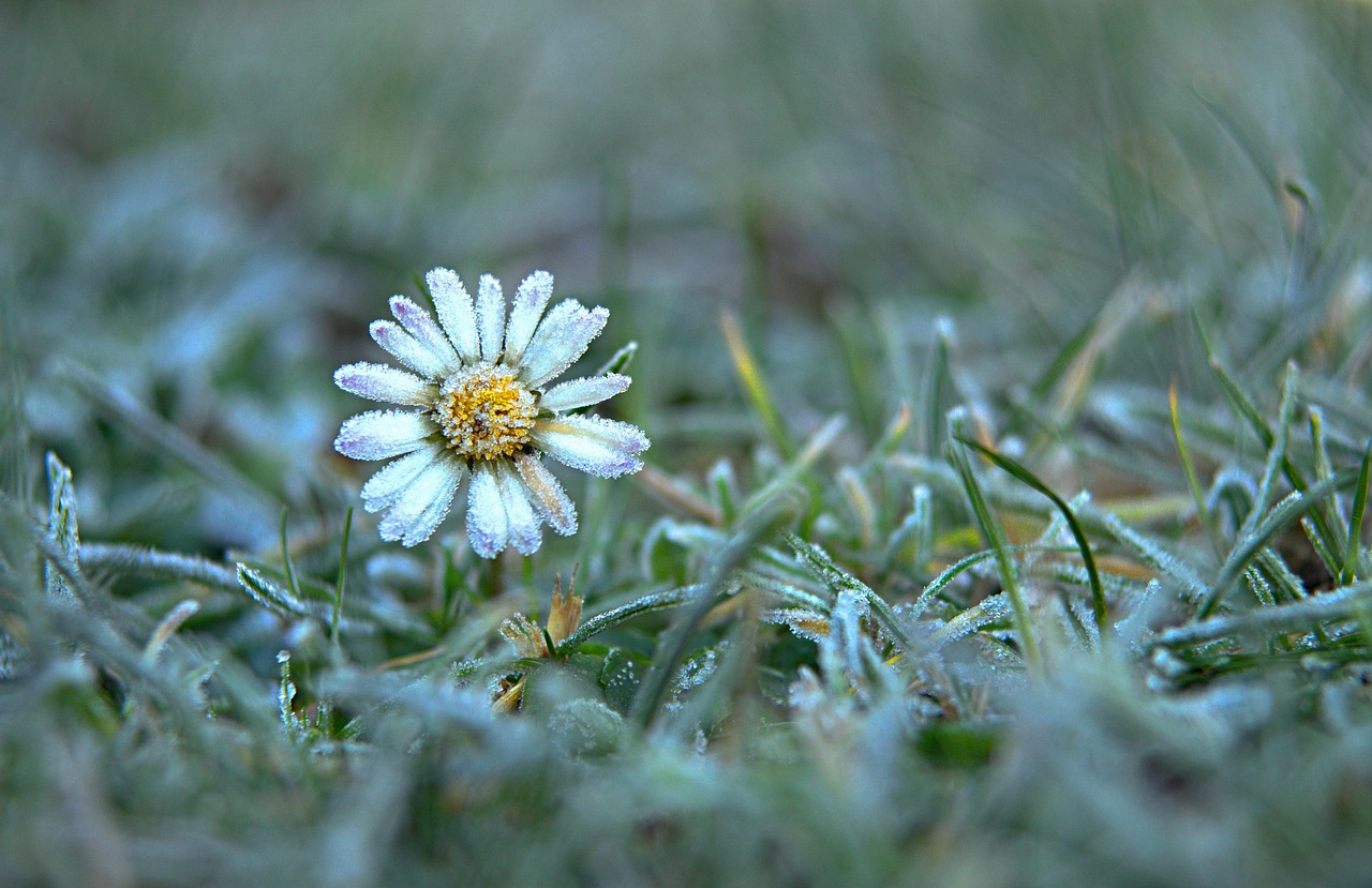 Donnerstag, 22. Januar