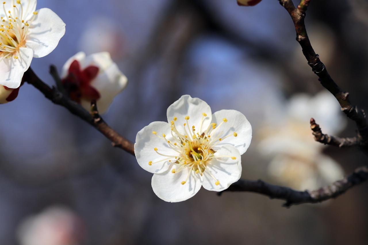 Donnerstag, 12. Februar