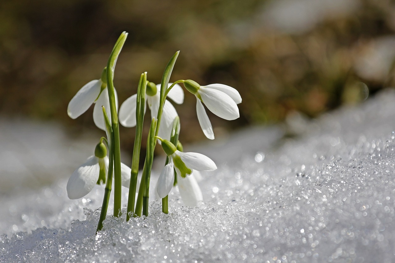 Freitag, 13. Februar