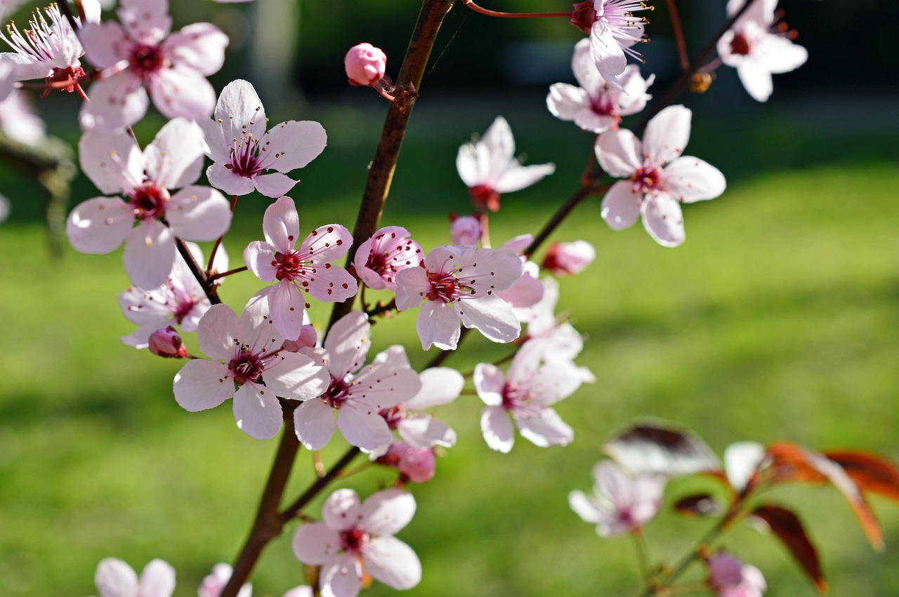 Mittwoch, 1. April