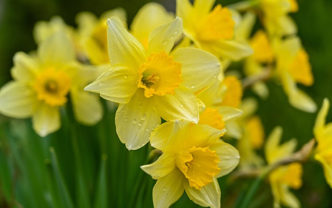 Samstag, 11. April