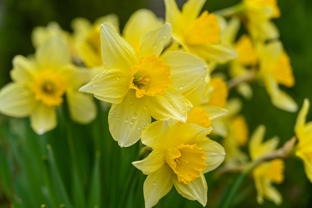 Samstag, 11. April