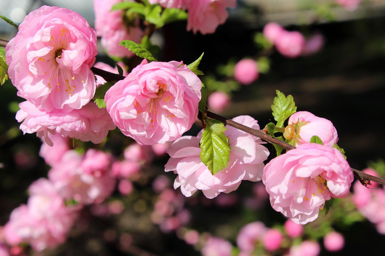 Sonntag, 19. April