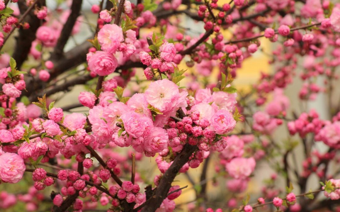 Montag, 20. April