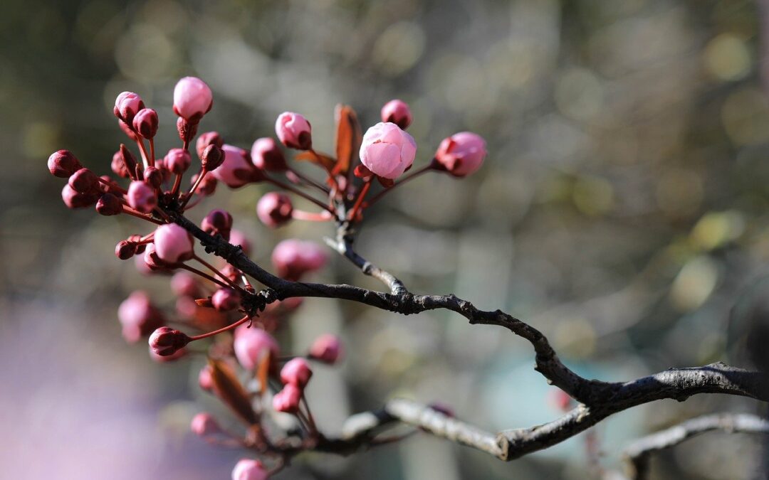 Freitag, 3. April