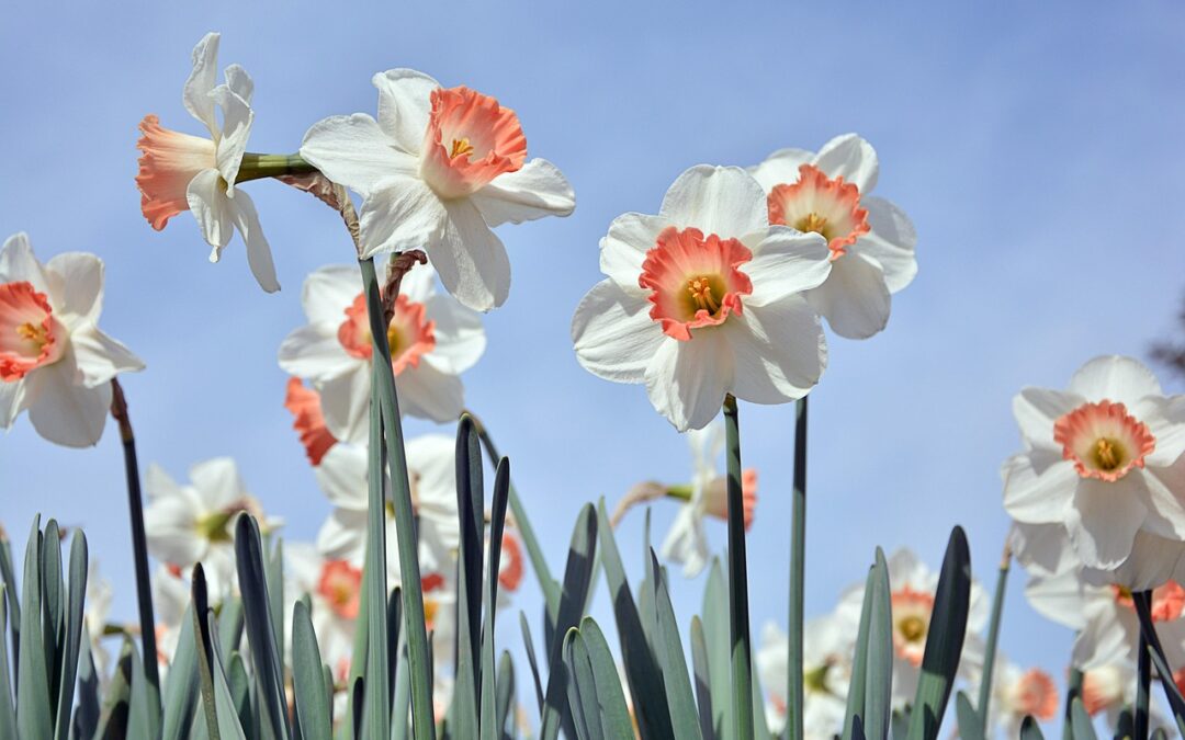 Mittwoch, 8. April