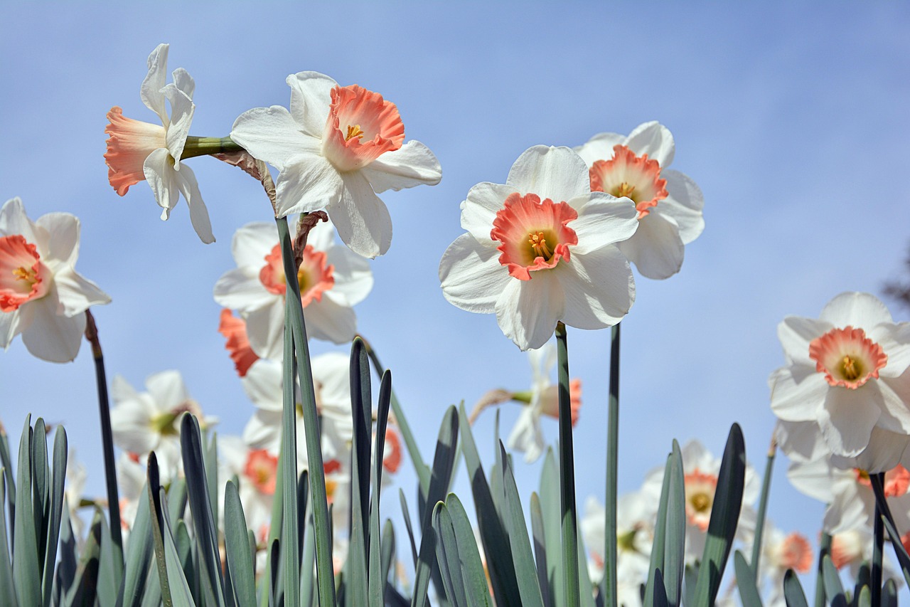 Mittwoch, 8. April