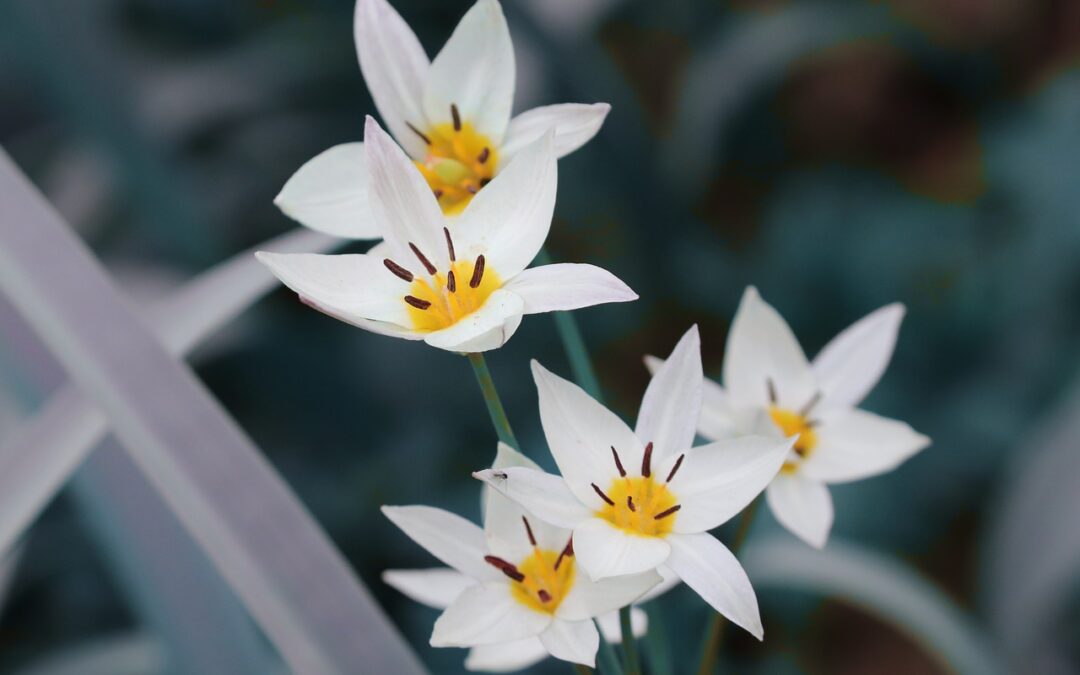 Dienstag, 7. April