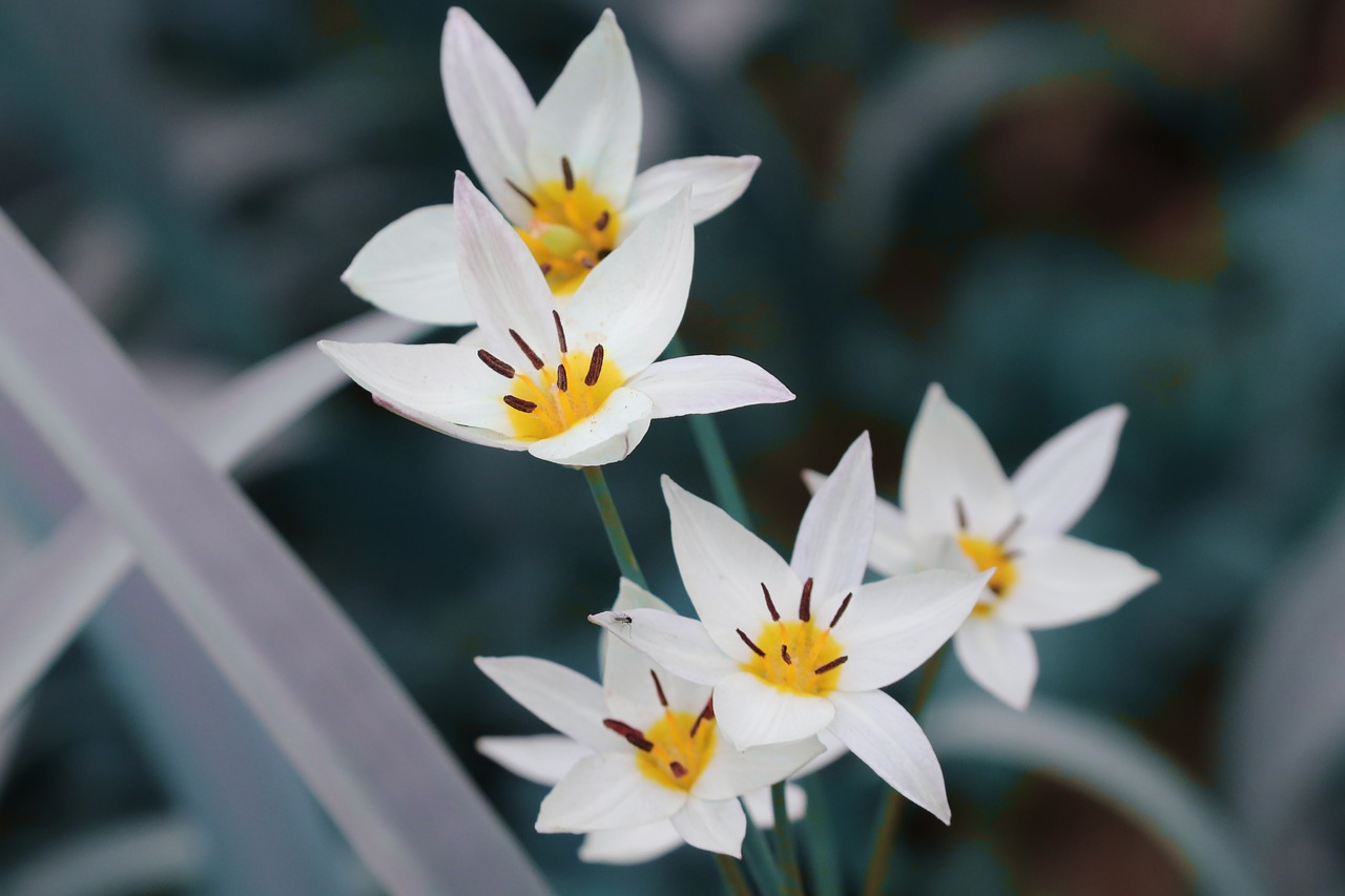 Dienstag, 7. April