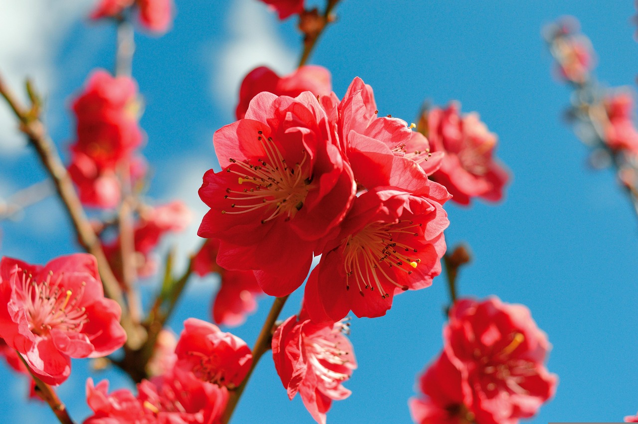 Sonntag, 12. April