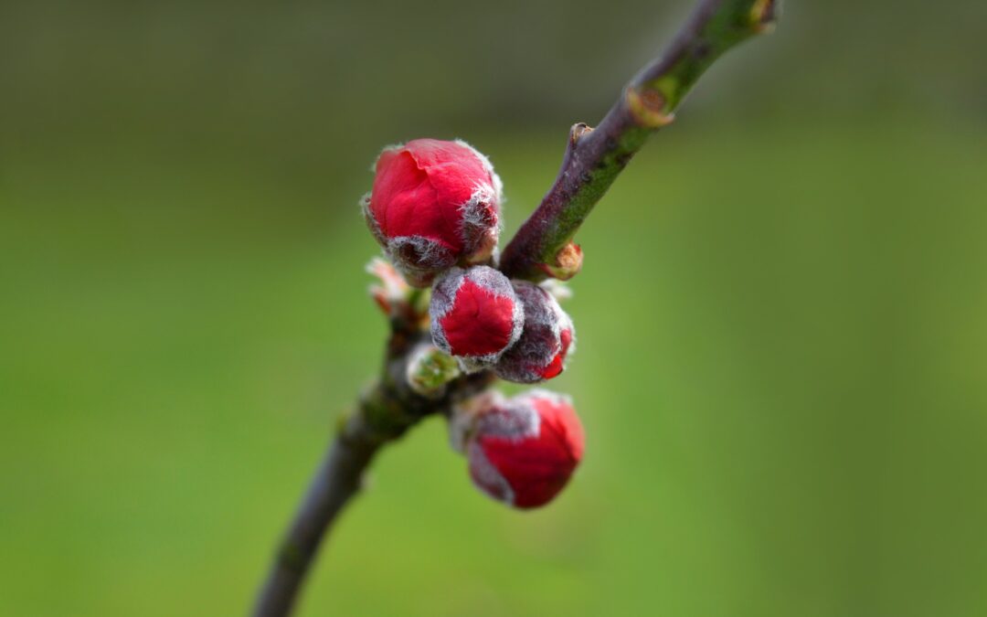 Dienstag, 14. April