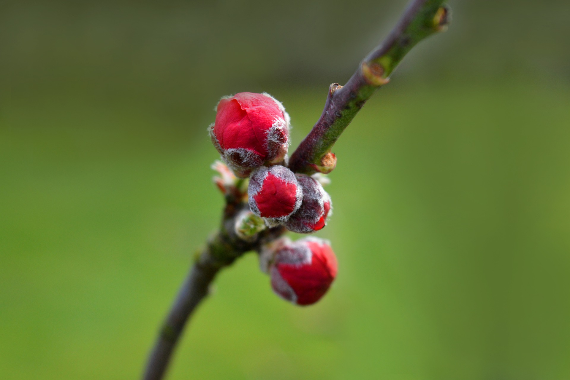 Dienstag, 14. April