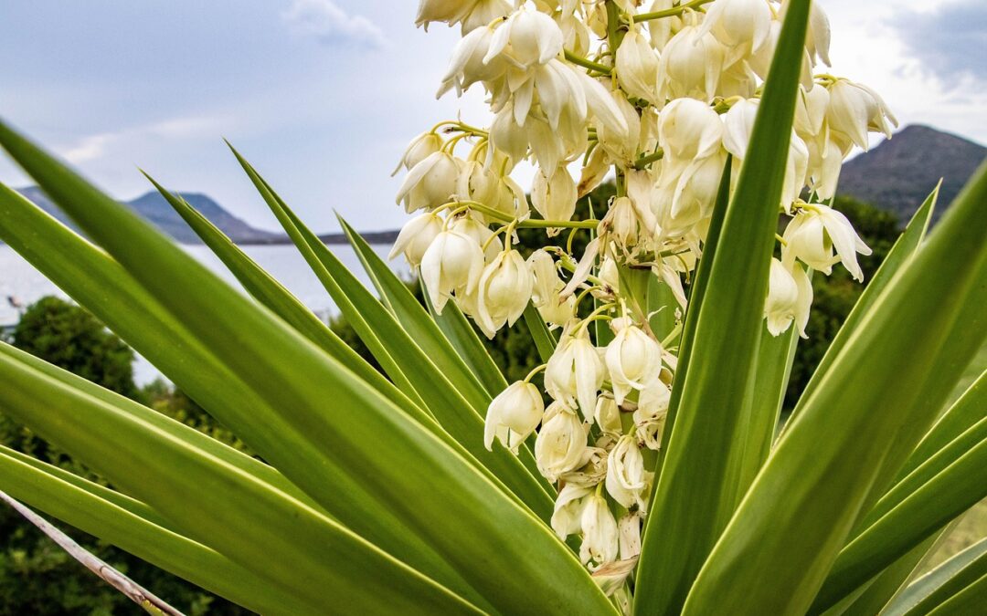 Freitag, 29. Mai