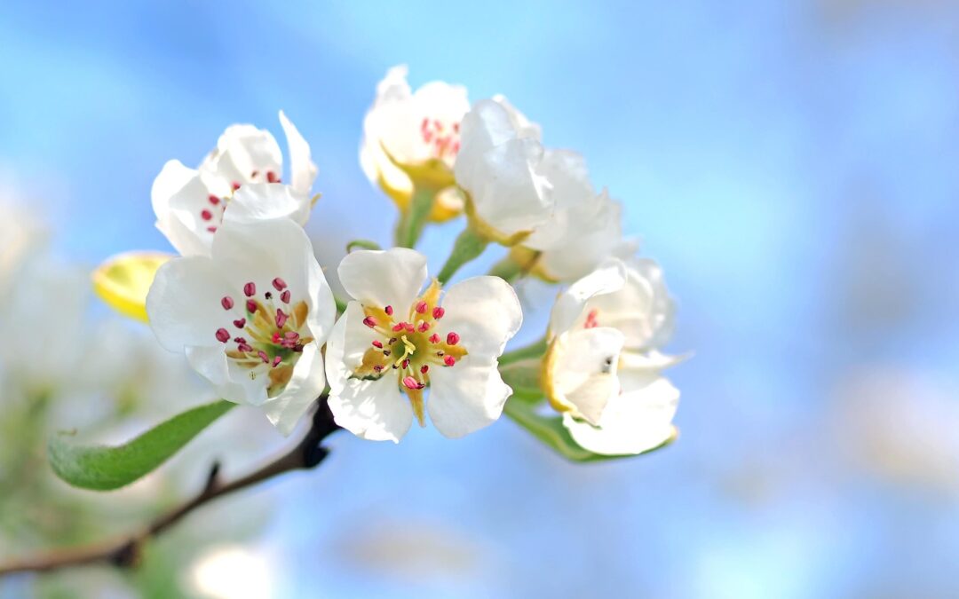 Sonntag, 10. Mai