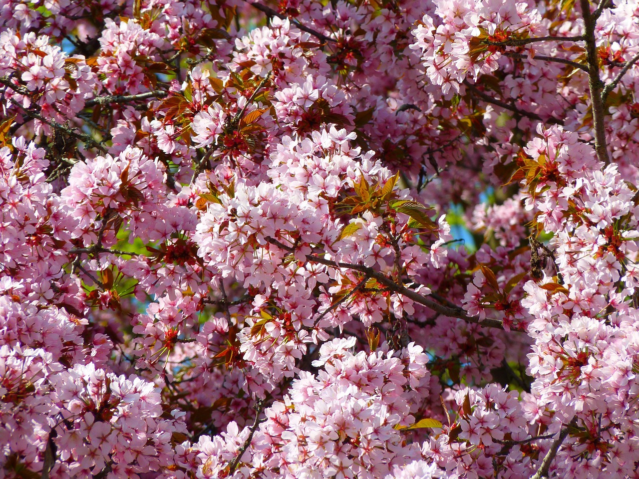 Montag, 18. Mai