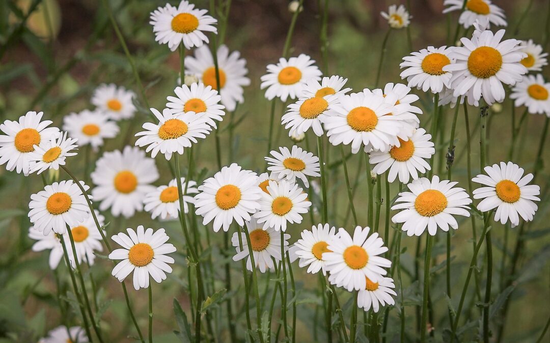 Dienstag, 26. Mai
