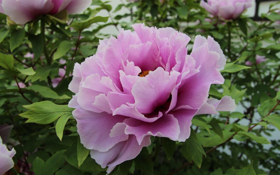 Wednesday 24 June