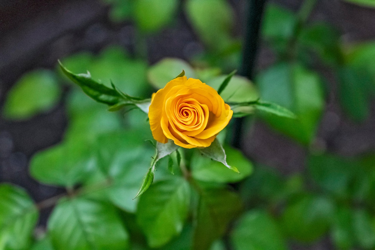 Sonntag, 9. August