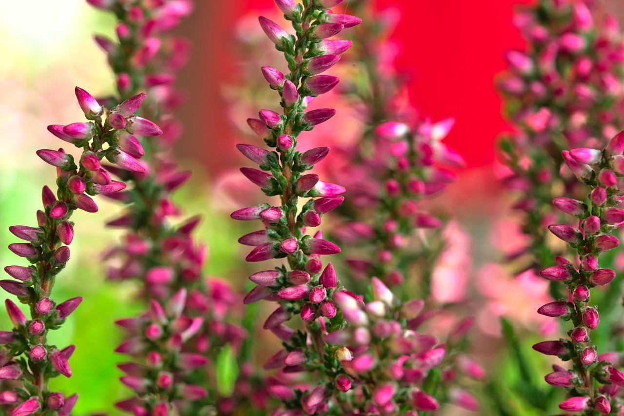Poniedziałek, 26 października