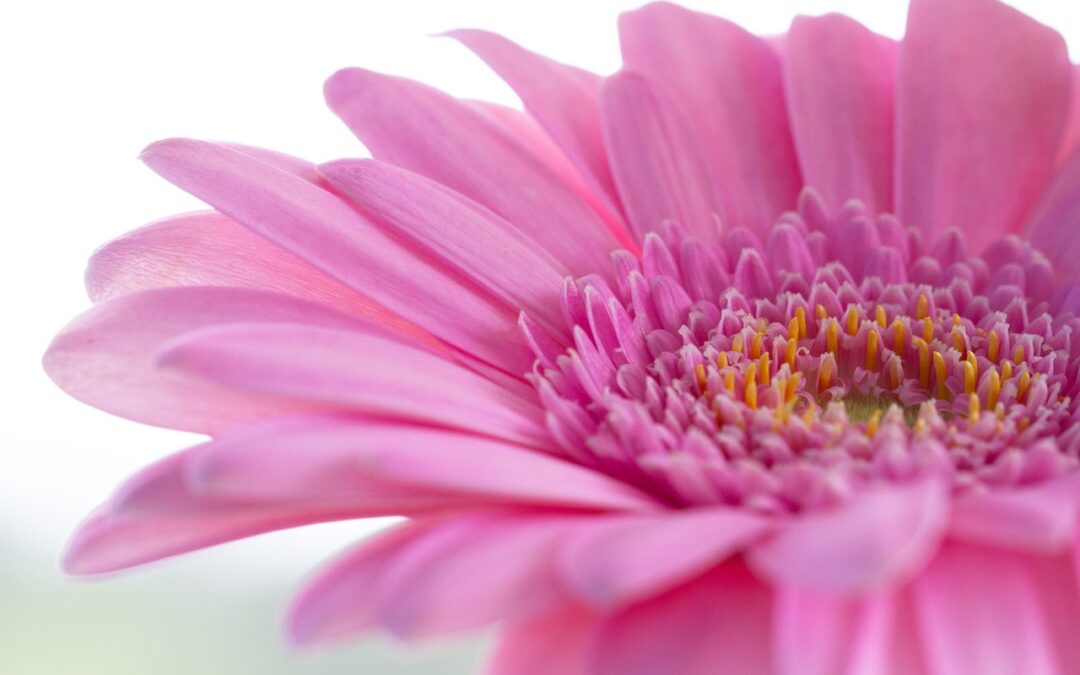 Środa, 21 października